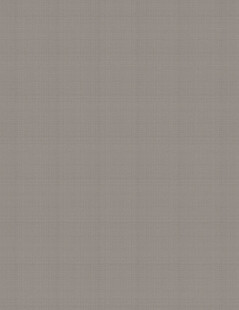 浅灰色纹理背景图