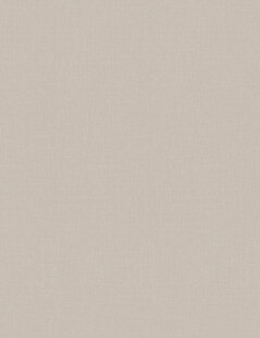 浅米色纯色背景图