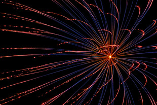 绚丽烟花绽放夜空