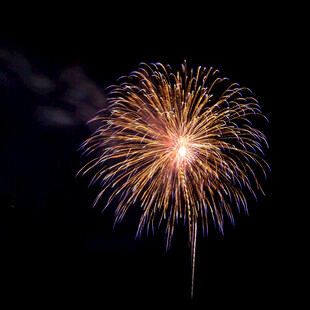 夜空中绽放的绚烂烟花