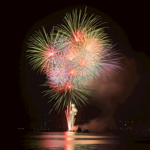 夜空中绚烂绽放的烟花