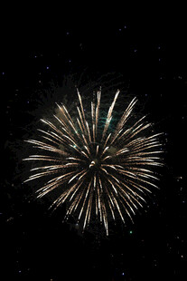 夜空中绽放的绚丽烟花