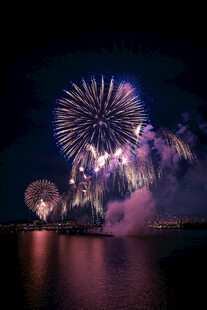 绚烂绽放的美丽烟花