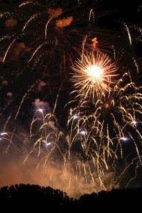 夜空中绚烂的烟花绽放