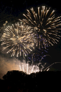 夜空中绚烂的烟花绽放