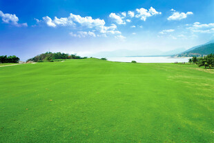 广袤绿原与蓝天白云美景