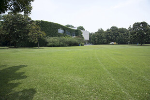 开阔绿草地与远处建筑