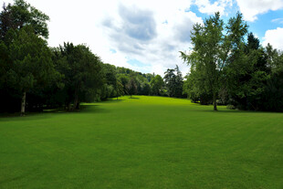 绿意盎然的高尔夫球场草地