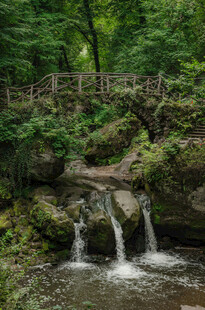 林间溪流上的木桥美景