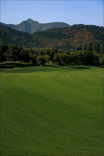 青山下的翠绿高尔夫球场