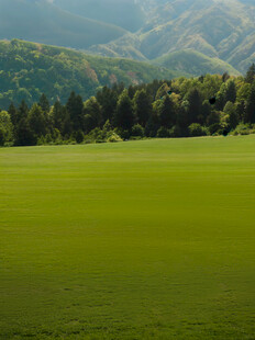 广袤绿野与葱郁山林美景