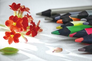 彩笔旁绽放的艳丽小花