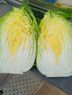 新鲜切开的两颗娃娃菜