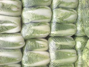 成袋卷心菜整齐堆放