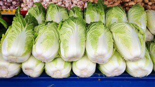 新鲜白菜整齐摆放