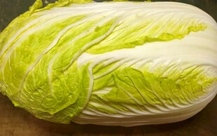 新鲜大白菜