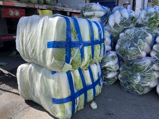 捆扎好的新鲜蔬菜待售