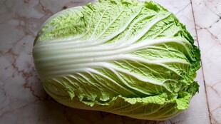 一颗新鲜的大白菜