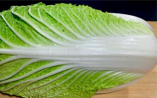 新鲜翠绿的大白菜叶片