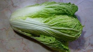 新鲜大白菜特写