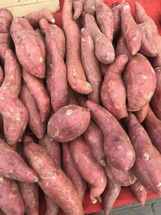 新鲜红薯堆成小山