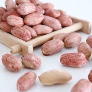 新鲜饱满的带壳花生米