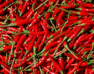 红辣椒特写