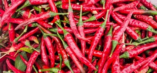 红辣椒特写