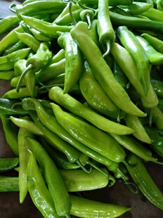 新鲜青豆角堆叠