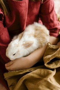 怀中白兔温馨瞬间