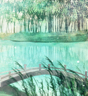 湖畔木桥旁的清幽景致