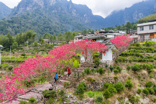 亚洲中国广西来宾金秀乡村风光