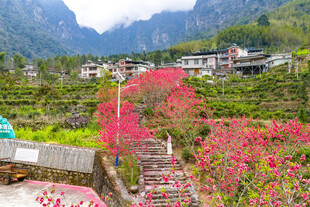 亚洲中国广西来宾金秀乡村风光