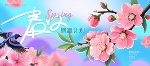 春日桃花绽放美景