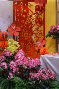 杜鹃花  