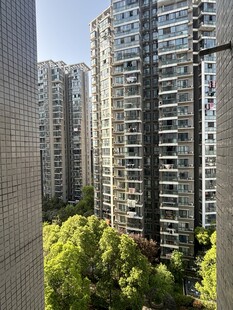 城市高楼间的绿意景观