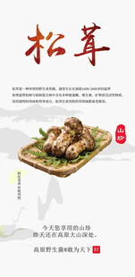美味松茸舌尖上的诱惑