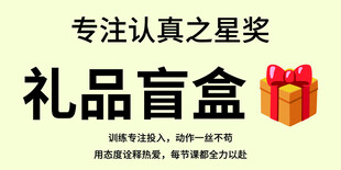 专注认真之星奖礼品盲盒