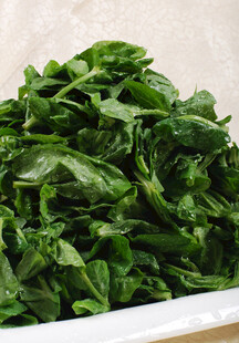 新鲜菠菜叶