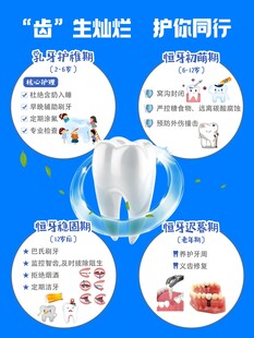 益生护龈牙膏  口腔呵护