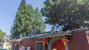 中式传统小屋 绿树环绕