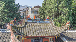 中式古建屋顶 绿树环绕