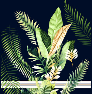 热带植物插画 自然清新风