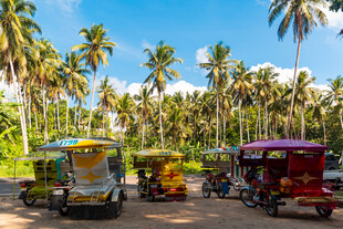 热带风光中的多彩三轮车