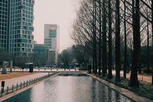 城市河畔风景