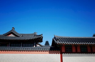 中式古建筑屋顶与蓝天