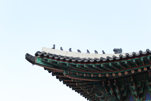 中式古建筑屋檐