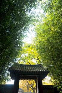 竹林中的中式门楼景观