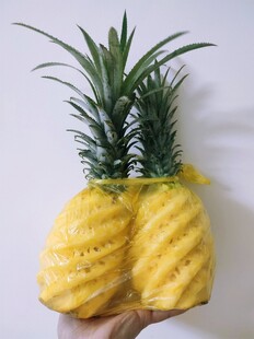 奇特双生菠萝