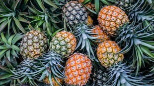 新鲜饱满的菠萝堆叠